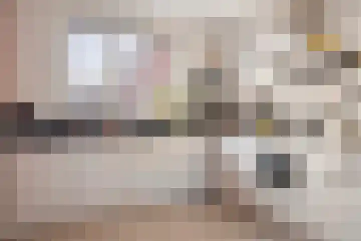 Glauconiet 36 Deest thumbnail 17