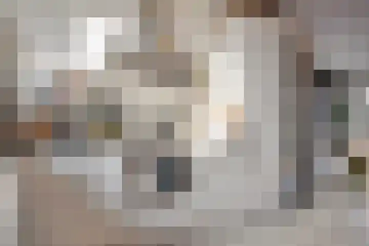 Glauconiet 36 Deest thumbnail 18