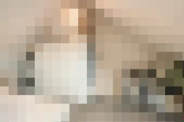 Glauconiet 36 Deest thumbnail 33