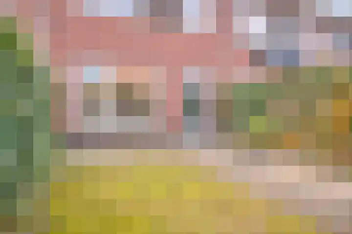 Glauconiet 36 Deest thumbnail 35