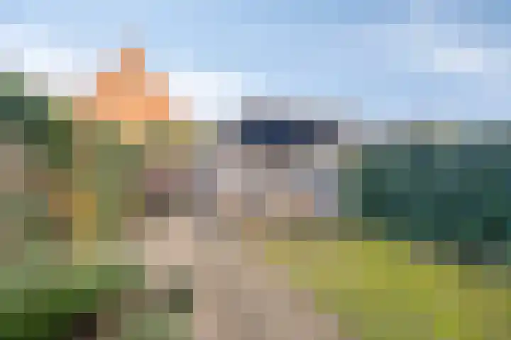Glauconiet 36 Deest thumbnail 36