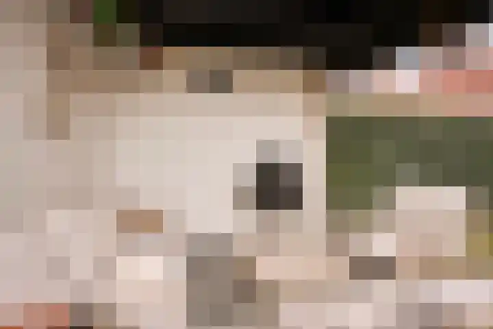 Glauconiet 36 Deest thumbnail 39