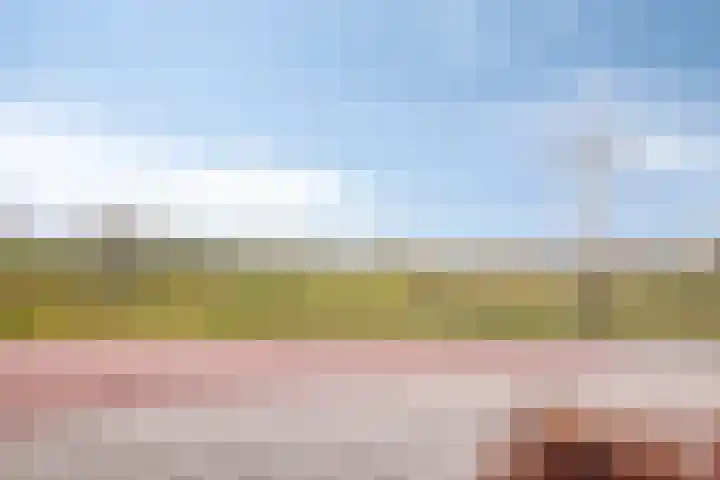 Glauconiet 36 Deest thumbnail 42