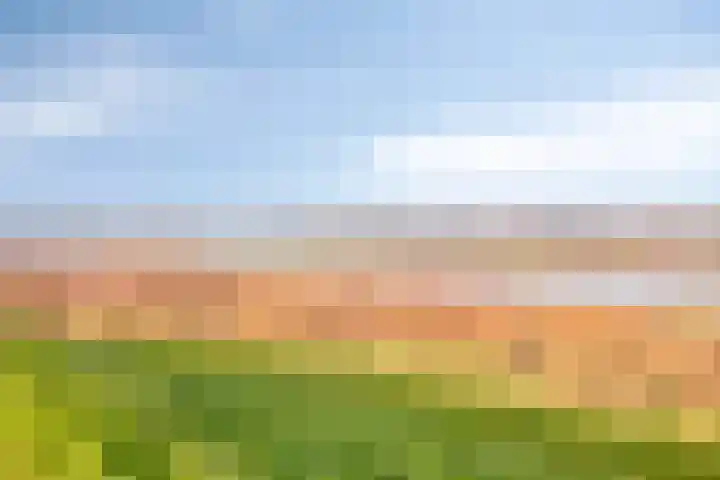 Glauconiet 36 Deest thumbnail 44