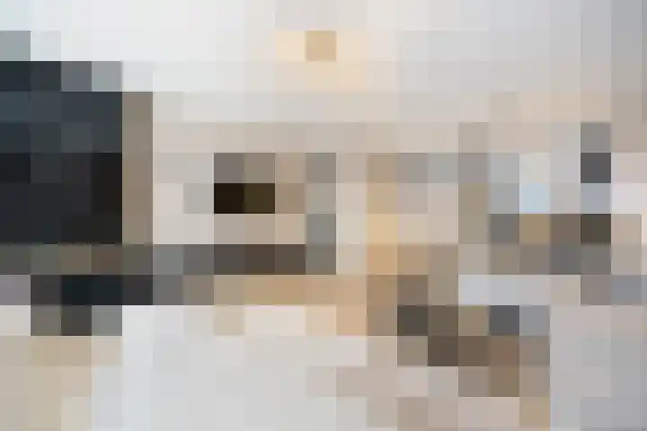 Glauconiet 9 Deest thumbnail 8