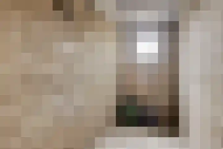 Glazeniersdreef 10 C Maastricht thumbnail 28