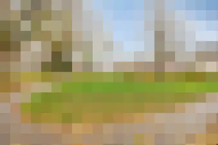 Glazeniersdreef 10 C Maastricht thumbnail 30
