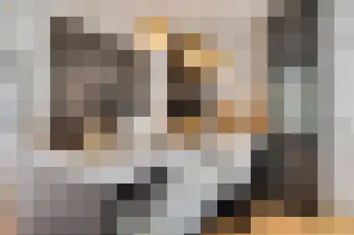 Glazeniersdreef 12 C Maastricht thumbnail 8