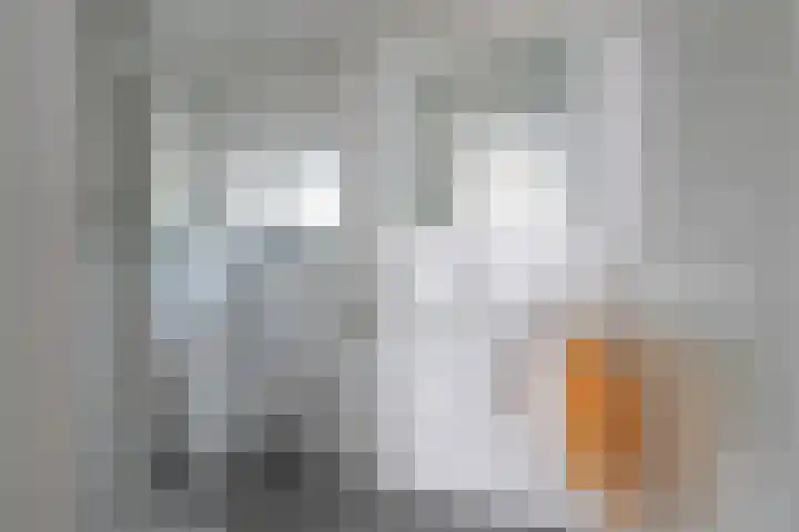 Glazeniersdreef 15 Maastricht thumbnail 11