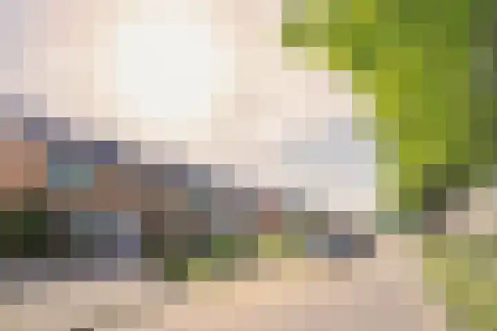 Glazeniersdreef 15 Maastricht thumbnail 18