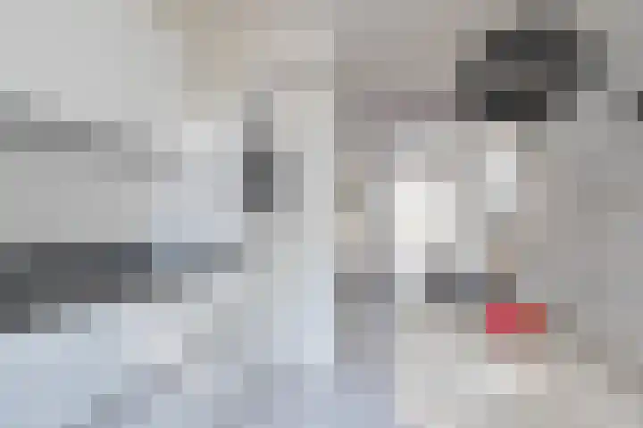 Glazeniersdreef 15 Maastricht thumbnail 6