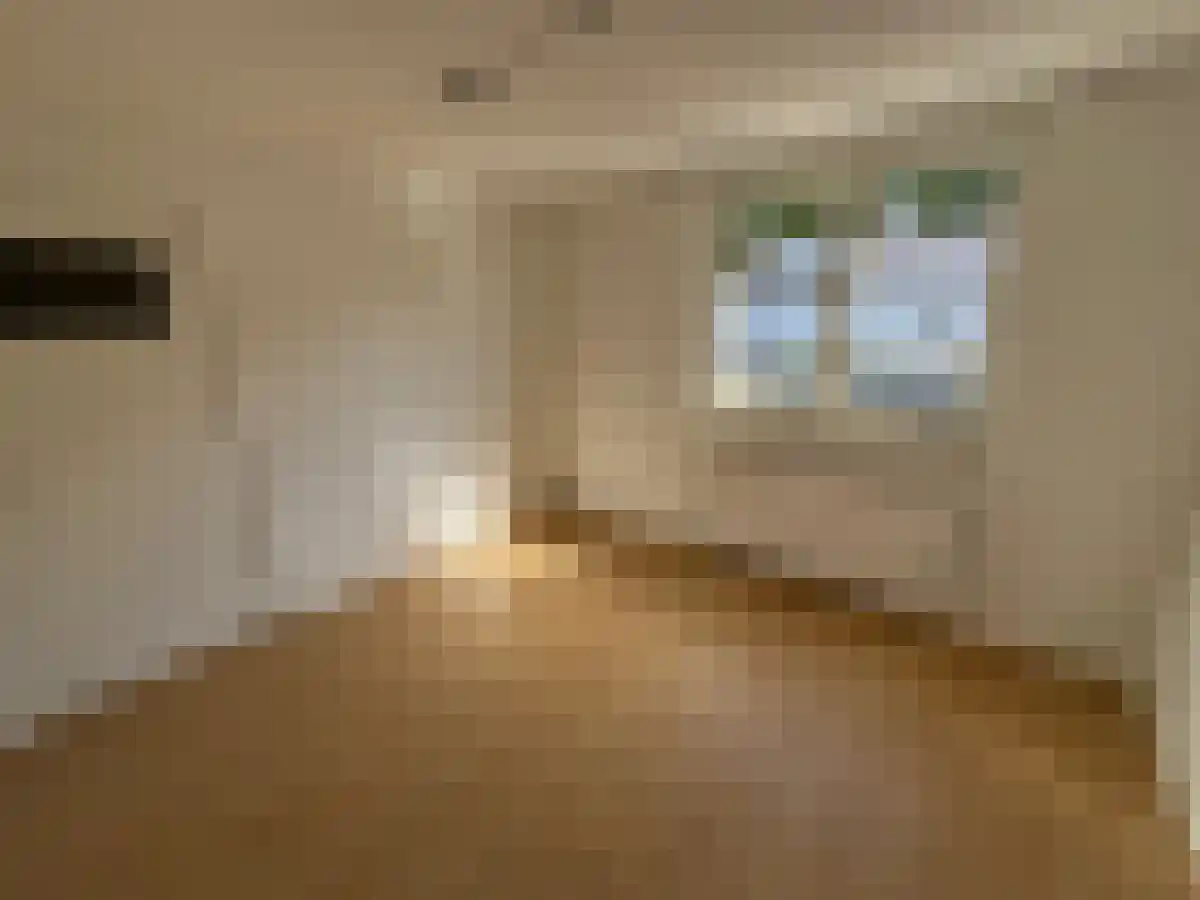 Glazeniersdreef 25 Maastricht thumbnail 5
