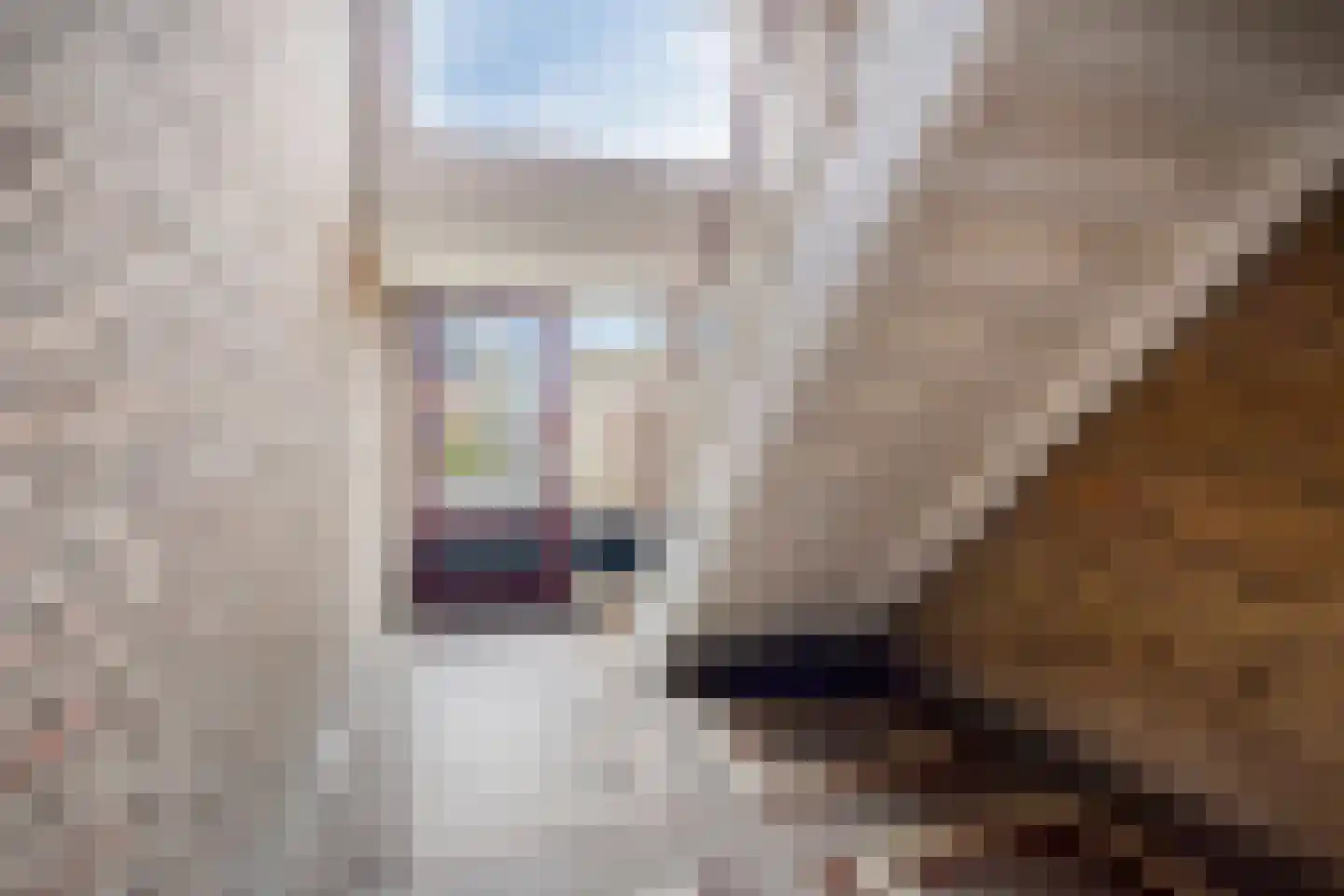 Glazeniersdreef 32 B Maastricht thumbnail 18