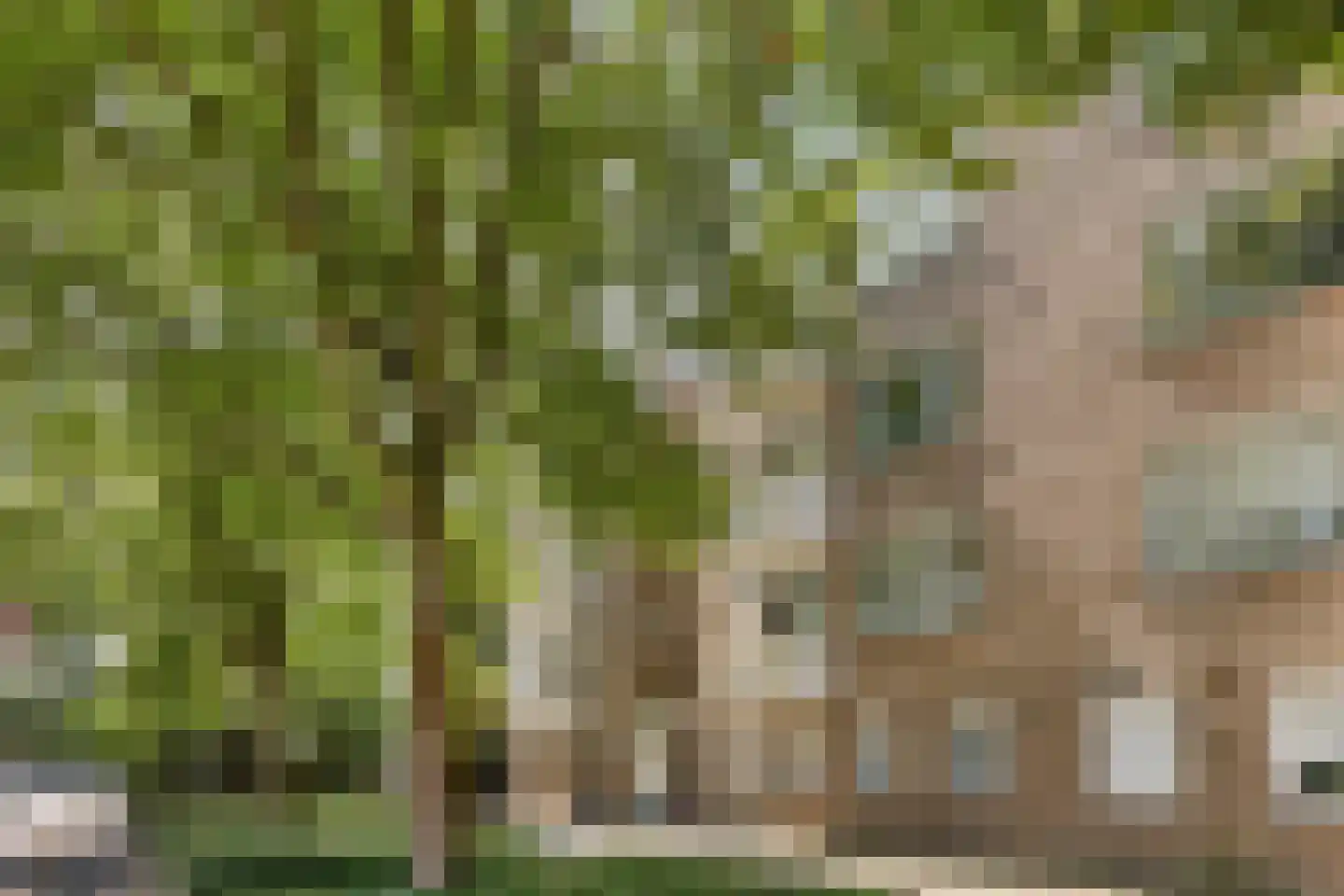 Glazeniersdreef 42 B Maastricht thumbnail 35