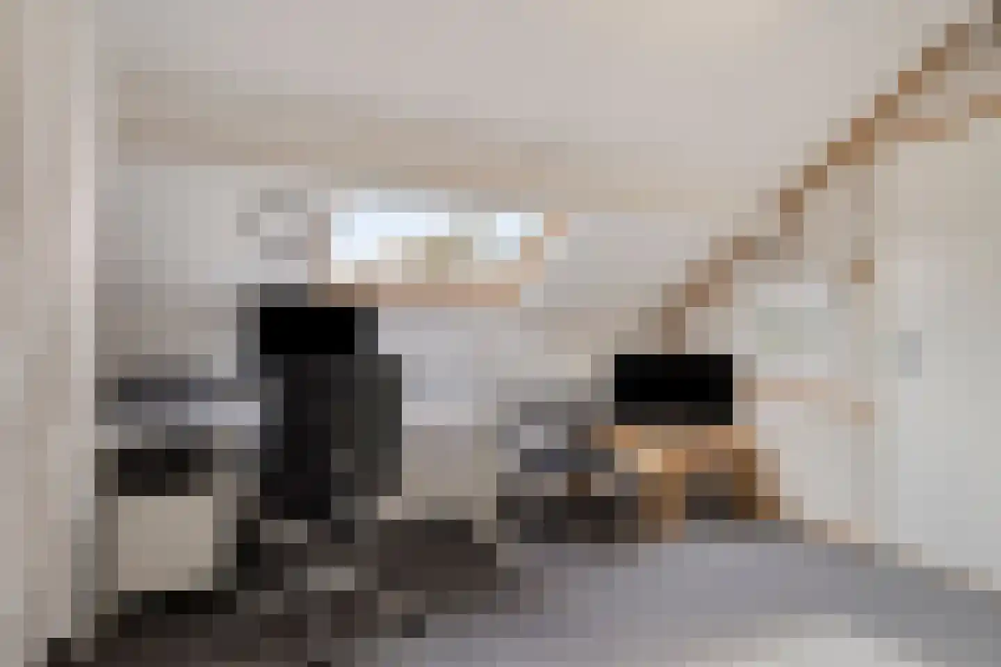 Glazeniersdreef 68 Maastricht thumbnail 22