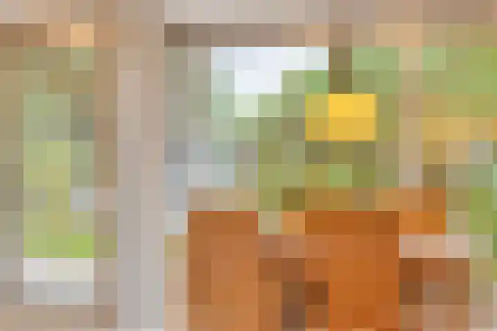 Glazeniersdreef 70 Maastricht thumbnail 11