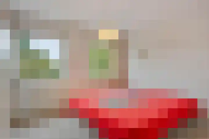 Glazeniersdreef 70 Maastricht thumbnail 27