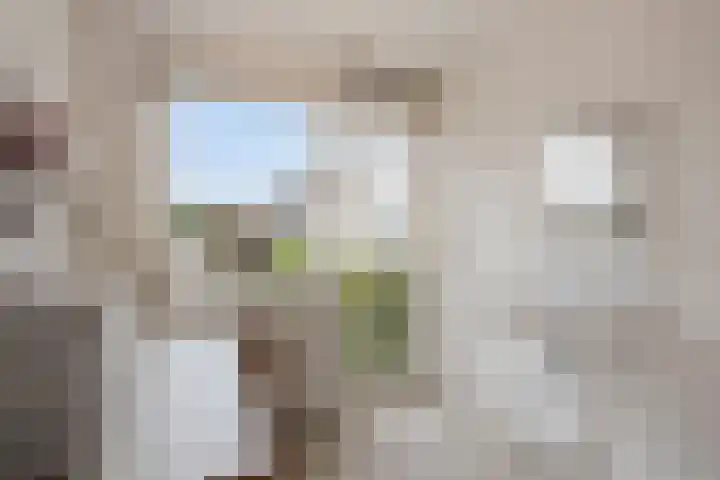 Glazeniersdreef 70 Maastricht thumbnail 31