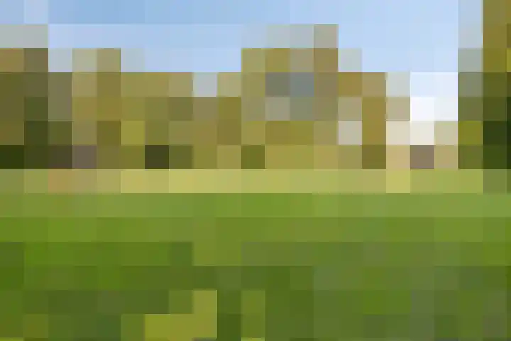 Glazeniersdreef 70 Maastricht thumbnail 38