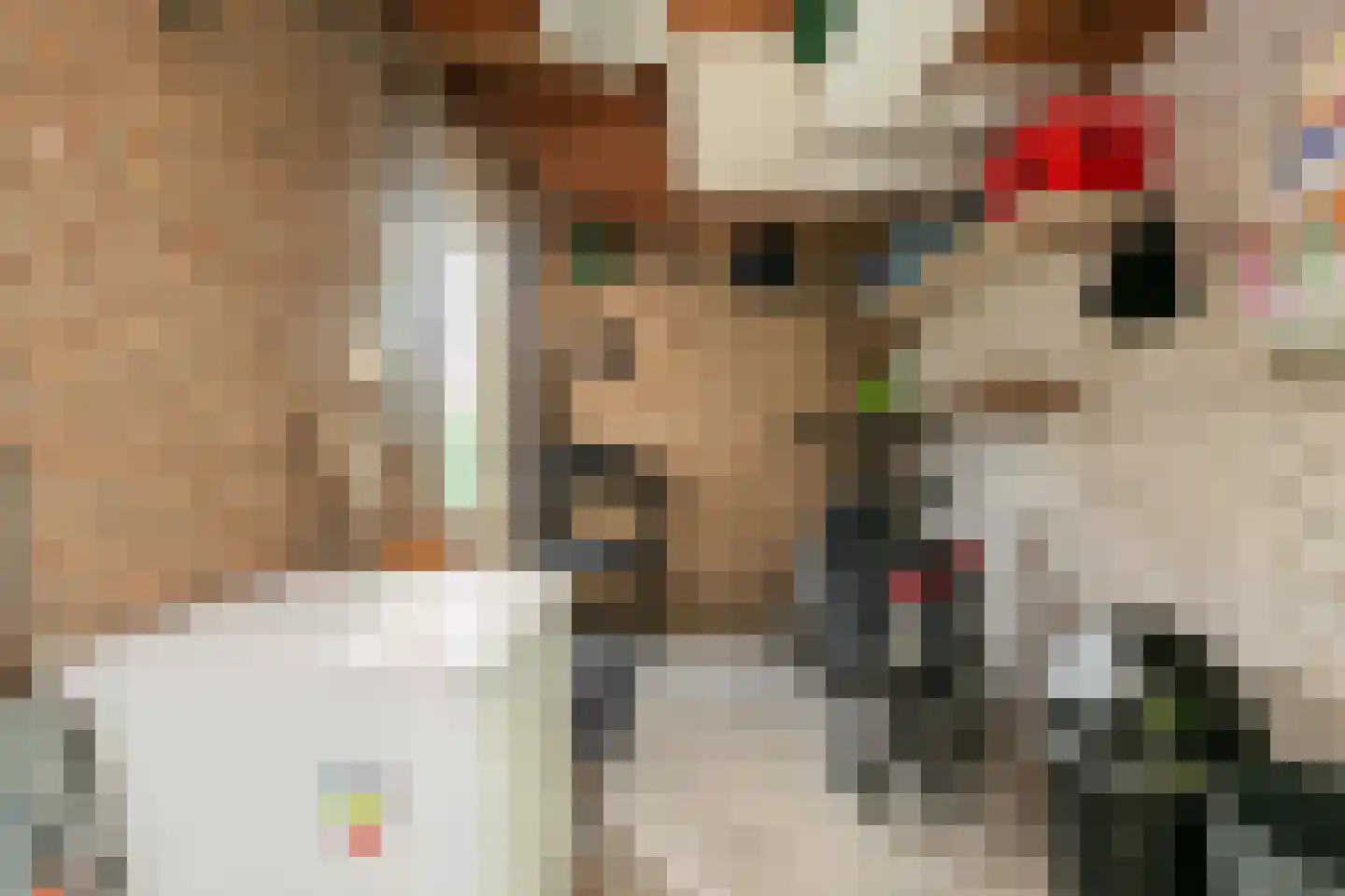 Glazeniersgilde 8 Houten thumbnail 13