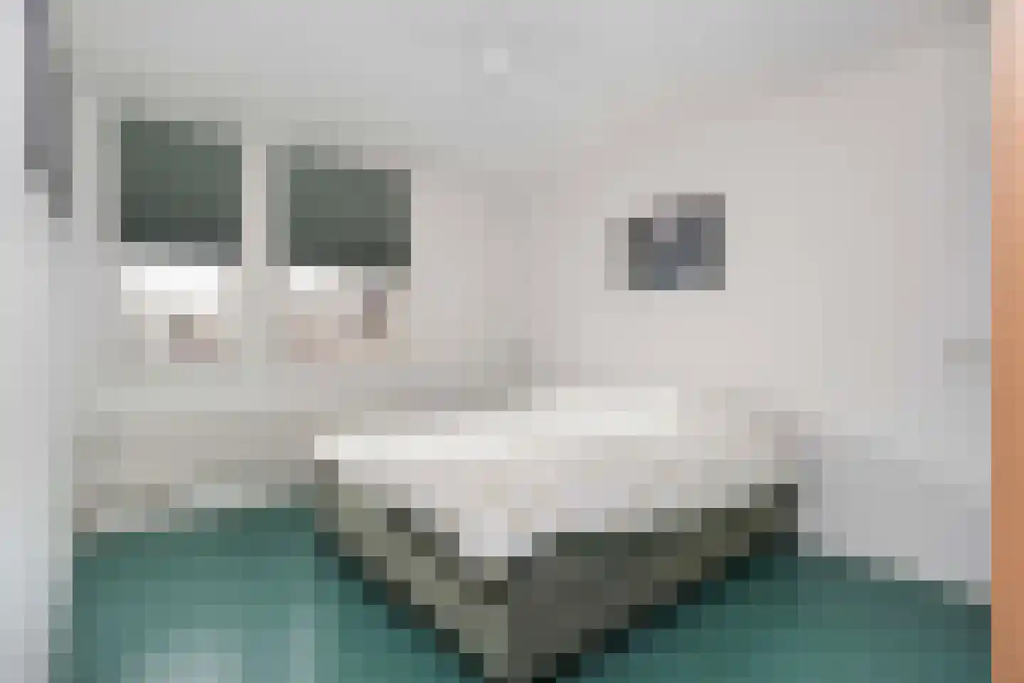 Glazeniersgilde 8 Houten thumbnail 20