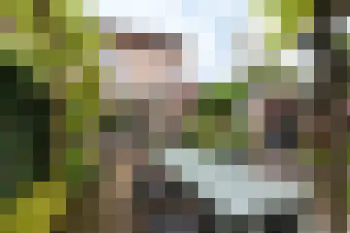 Glazeniershorst 156 Apeldoorn thumbnail 10