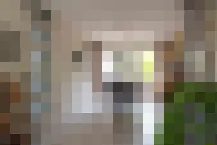 Glazeniershorst 156 Apeldoorn thumbnail 15