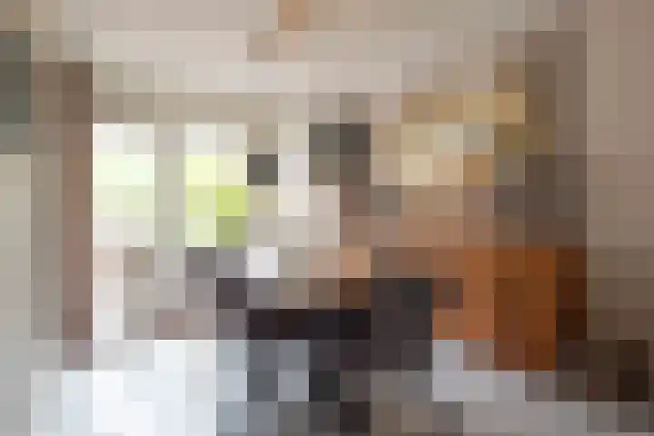 Glazeniershorst 156 Apeldoorn thumbnail 17