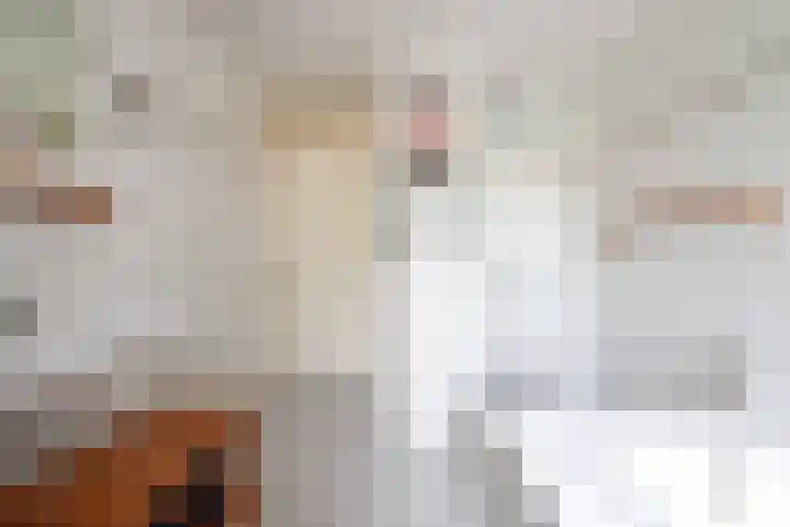 Glazeniershorst 156 Apeldoorn thumbnail 26