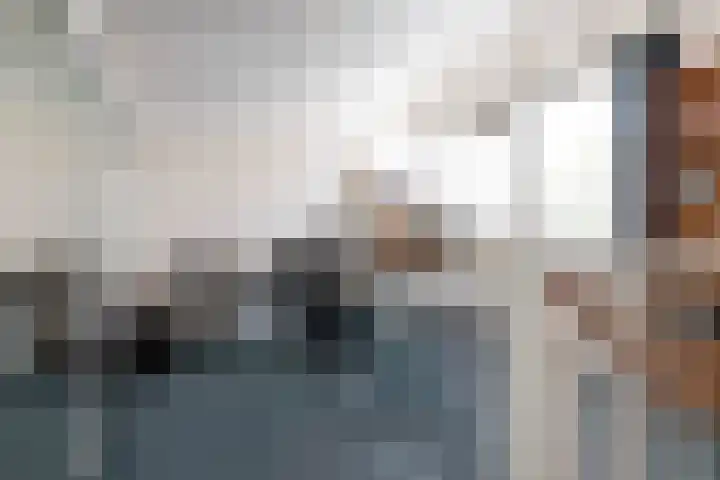 Glazeniershorst 156 Apeldoorn thumbnail 33