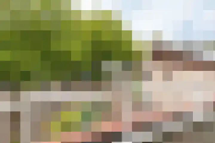 Glazeniershorst 156 Apeldoorn thumbnail 36