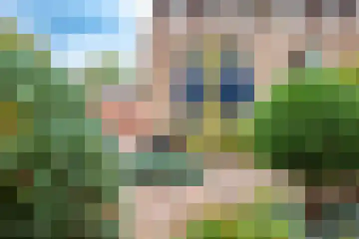 Glazeniershorst 156 Apeldoorn thumbnail 5