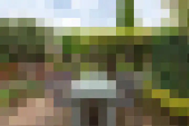 Glazeniershorst 156 Apeldoorn thumbnail 9