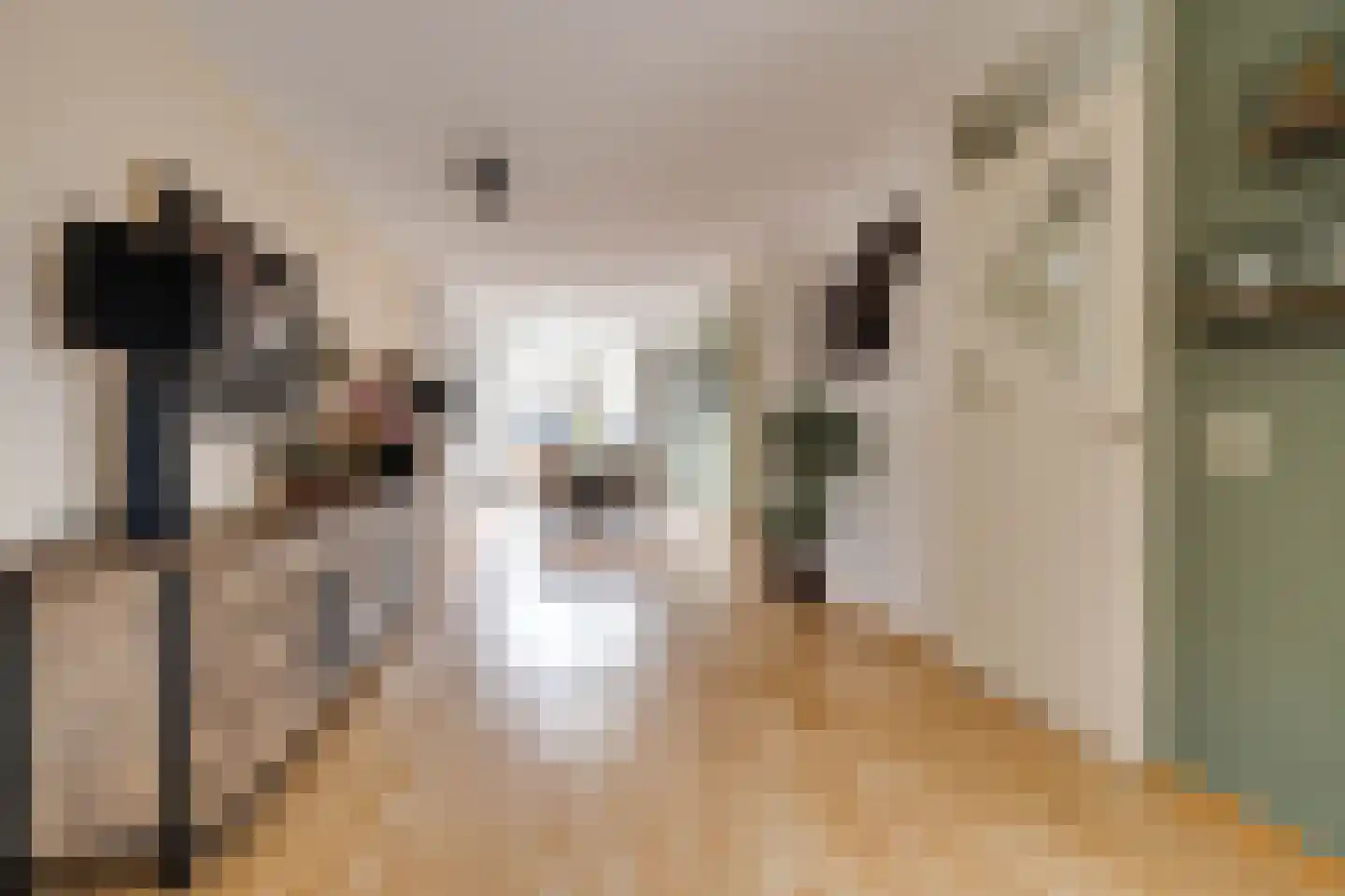 Glazeniershorst 203 Apeldoorn thumbnail 10