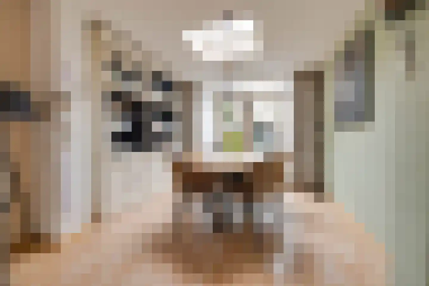 Glazeniershorst 203 Apeldoorn thumbnail 12