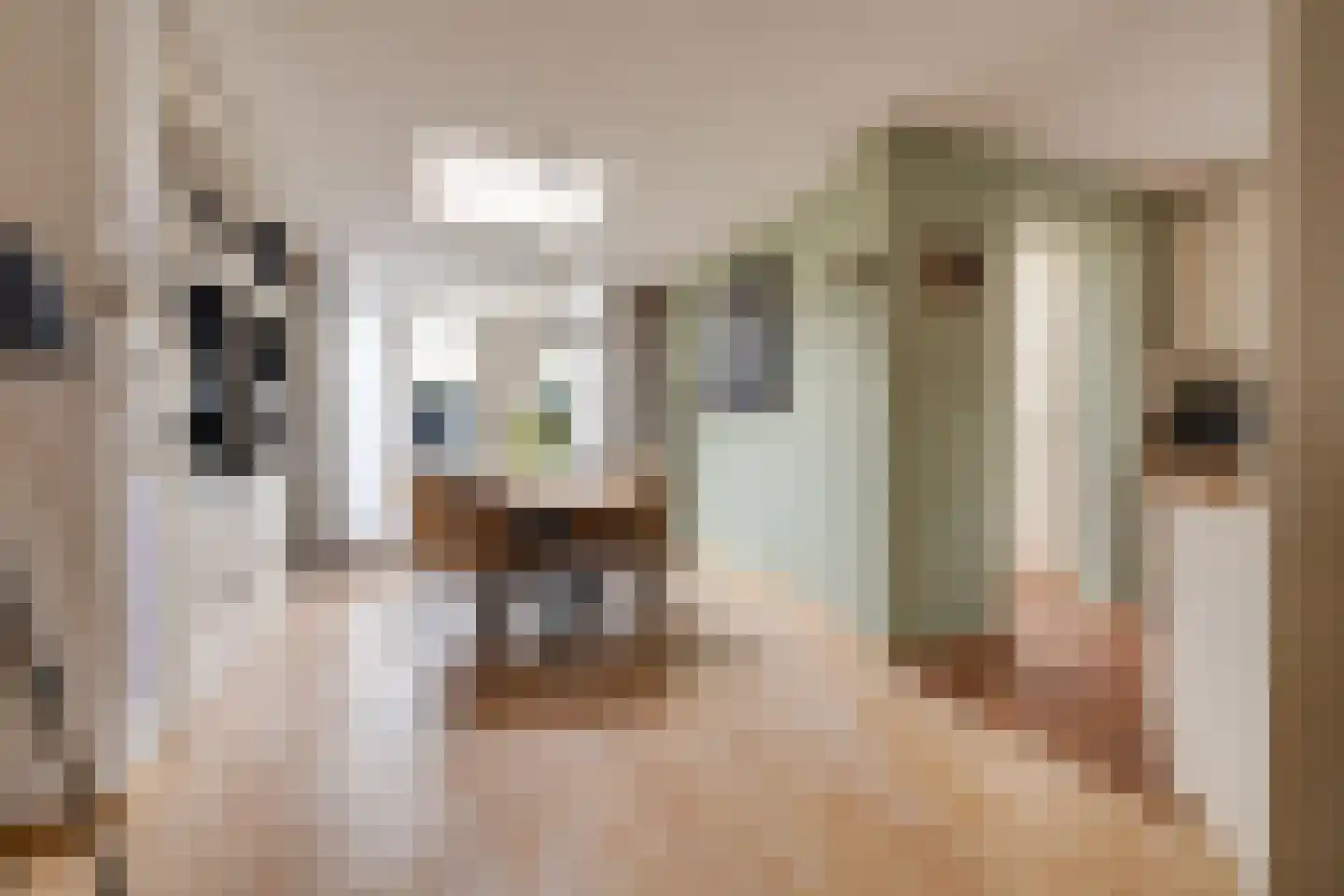 Glazeniershorst 203 Apeldoorn thumbnail 14