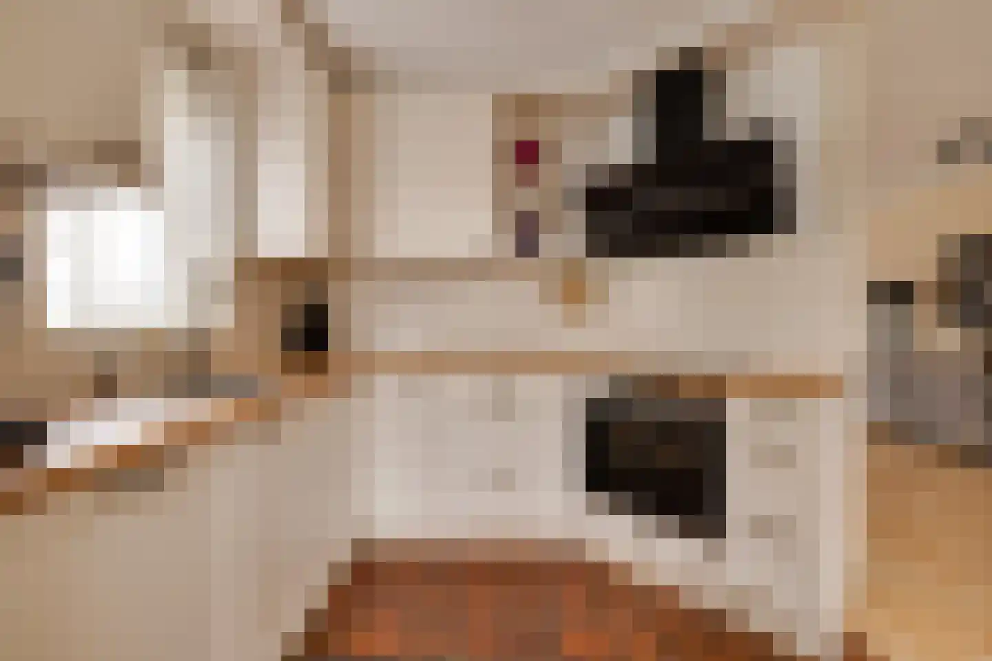 Glazeniershorst 203 Apeldoorn thumbnail 15