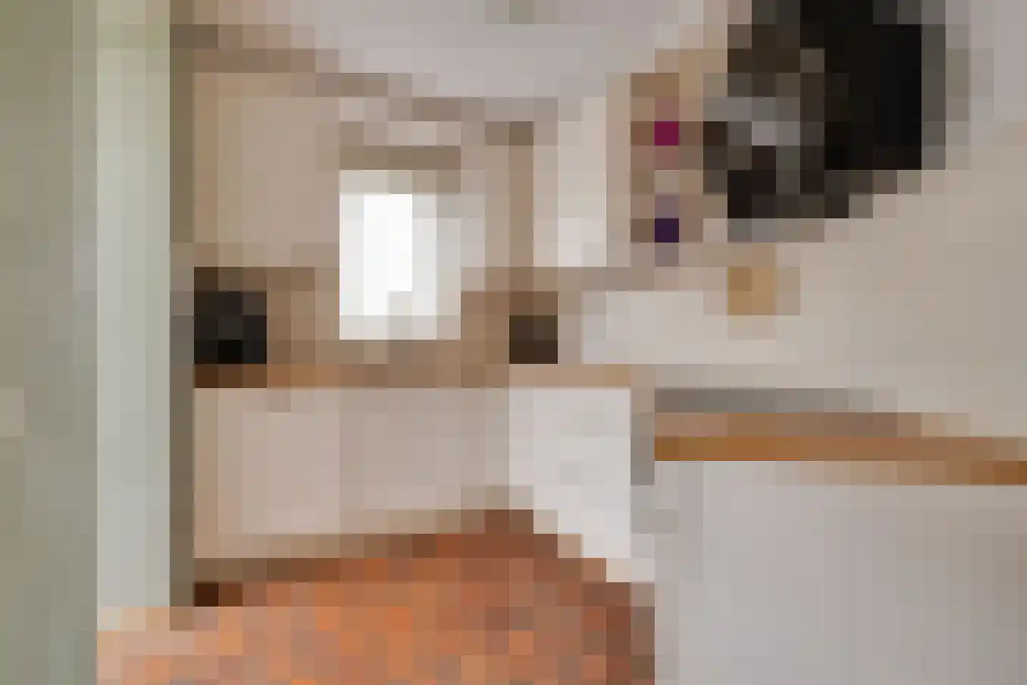 Glazeniershorst 203 Apeldoorn thumbnail 17