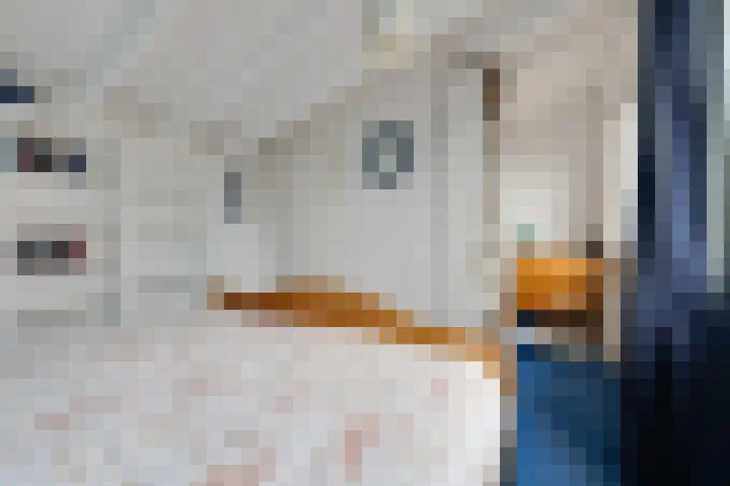 Glazeniershorst 203 Apeldoorn thumbnail 33