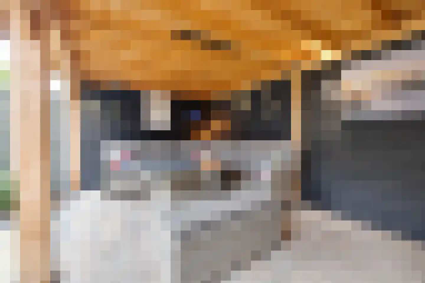 Glazeniershorst 203 Apeldoorn thumbnail 38