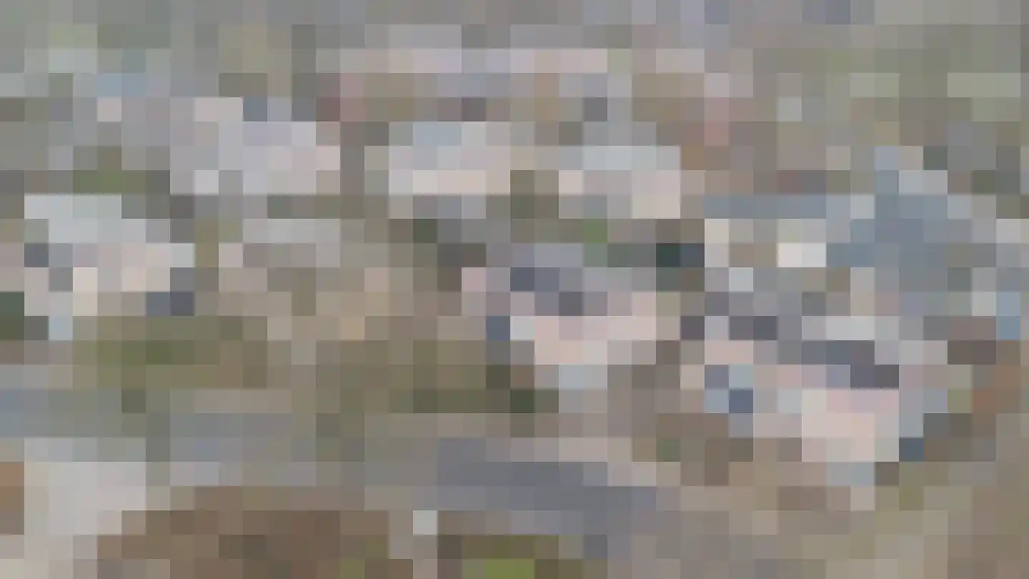 Glazeniershorst 203 Apeldoorn thumbnail 46