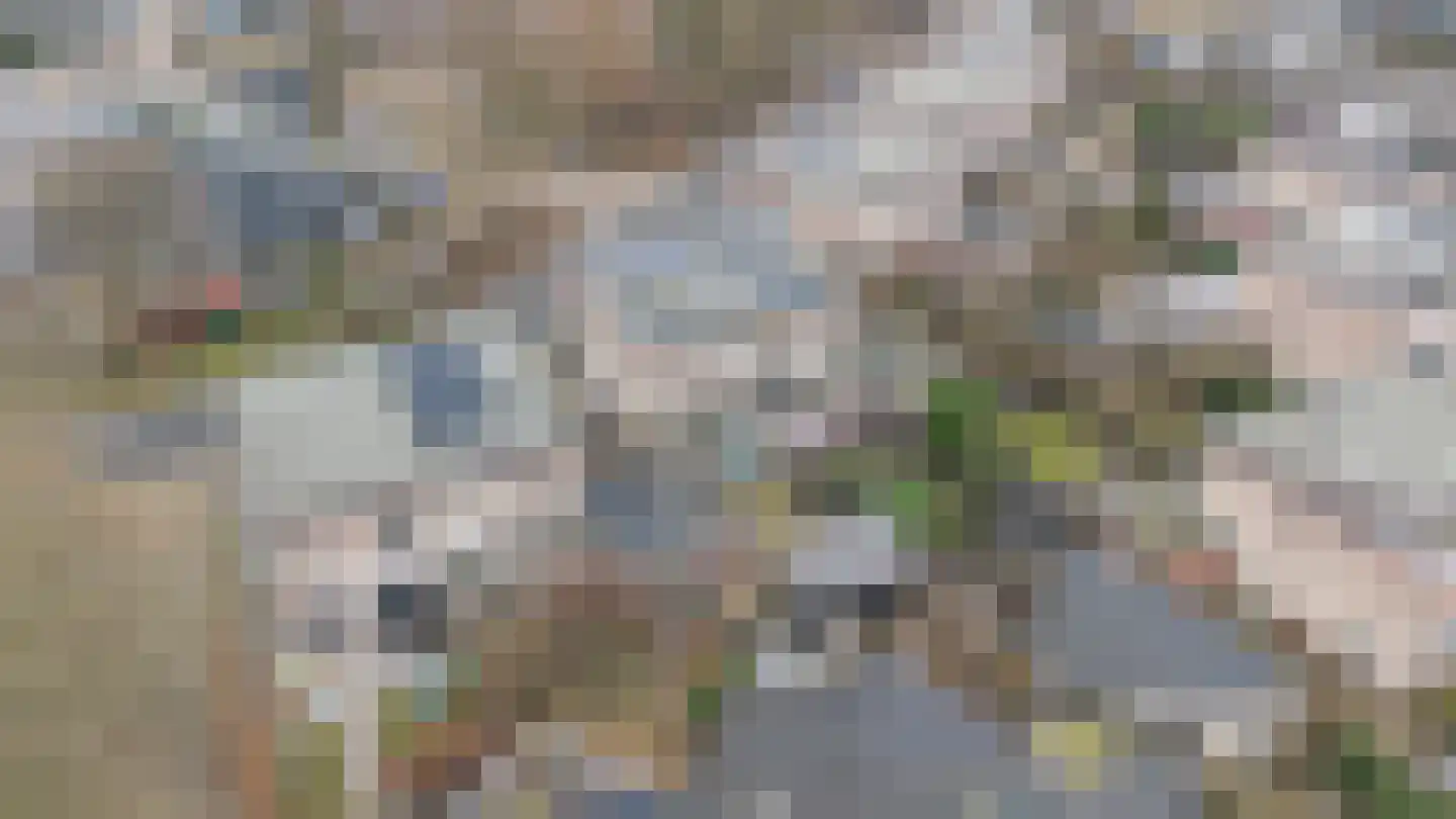 Glazeniershorst 203 Apeldoorn thumbnail 47