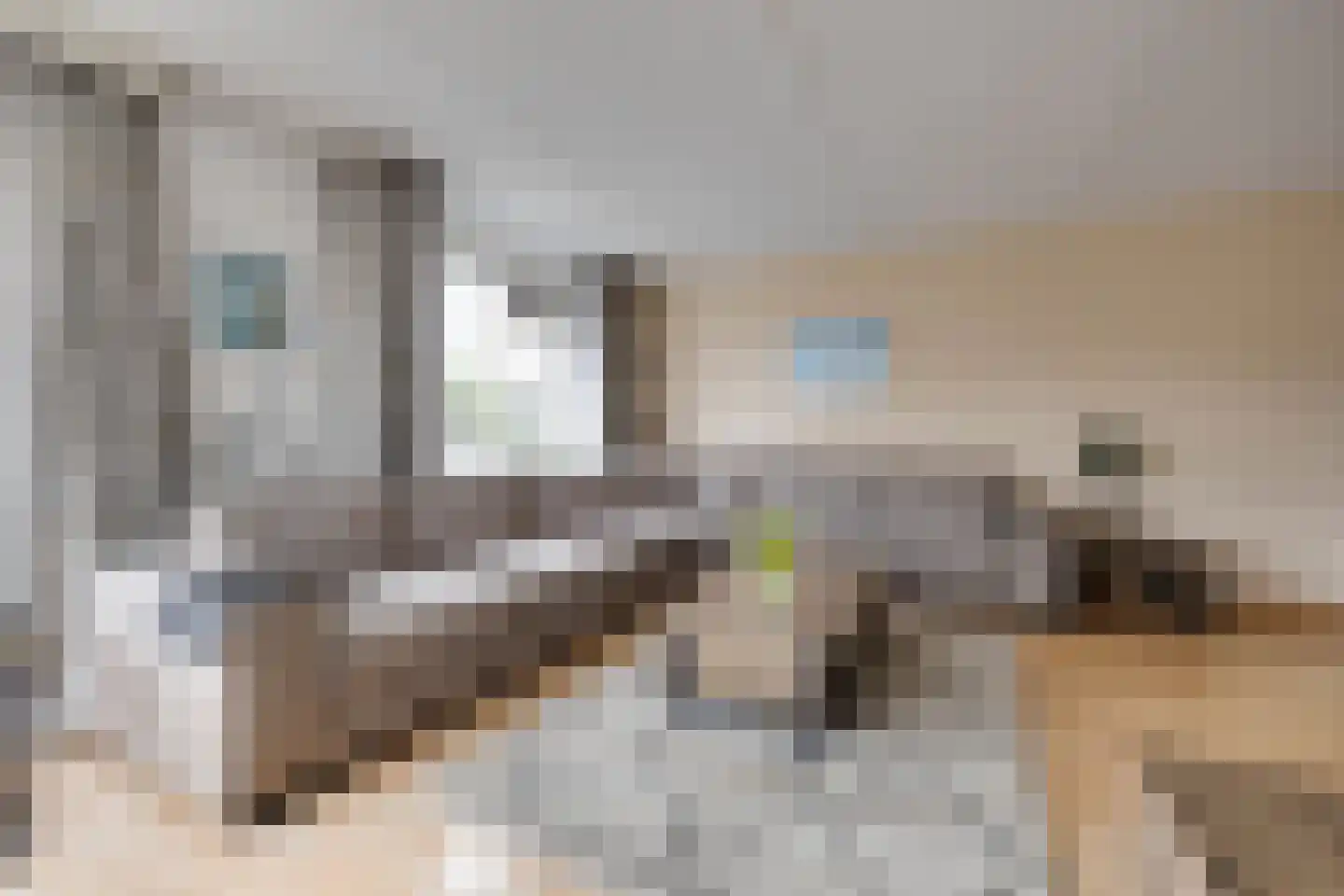Glazeniershorst 203 Apeldoorn thumbnail 8