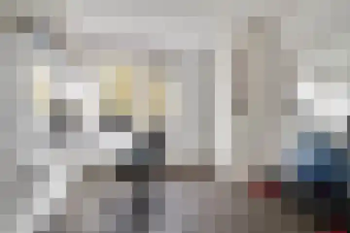 Glazeniershorst 204 Apeldoorn thumbnail 17
