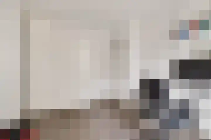 Glazeniershorst 204 Apeldoorn thumbnail 18
