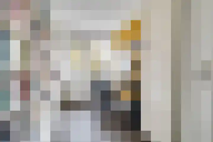 Glazeniershorst 204 Apeldoorn thumbnail 19