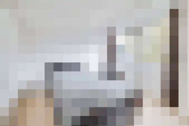 Glazeniershorst 204 Apeldoorn thumbnail 28