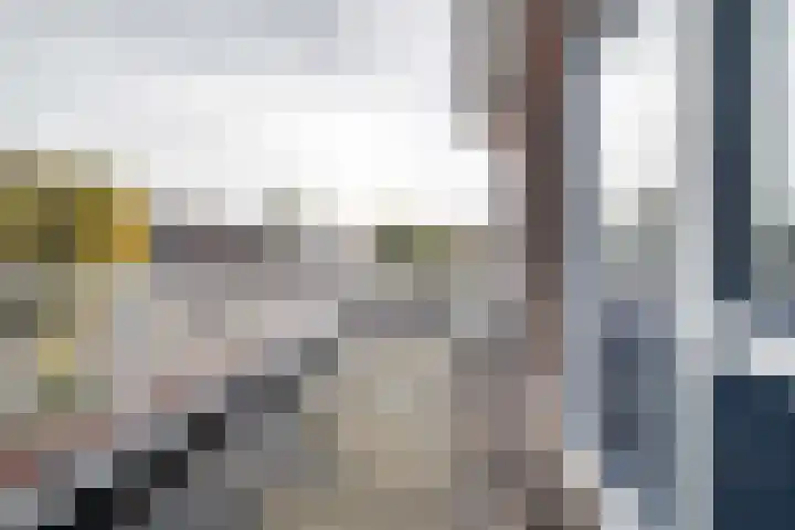 Glazeniershorst 204 Apeldoorn thumbnail 32