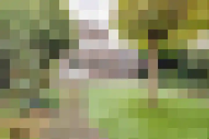Glazeniershorst 204 Apeldoorn thumbnail 34