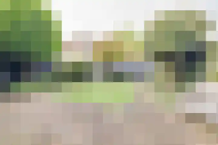 Glazeniershorst 204 Apeldoorn thumbnail 35